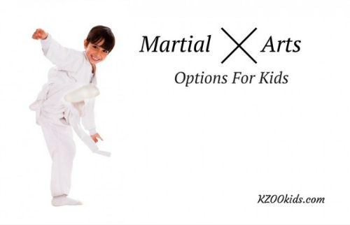 martial arts classes