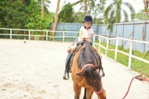 Horseback Riding lesson Kalamazoo