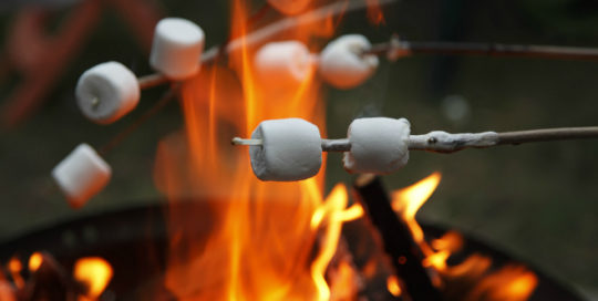camping with kids in michigan