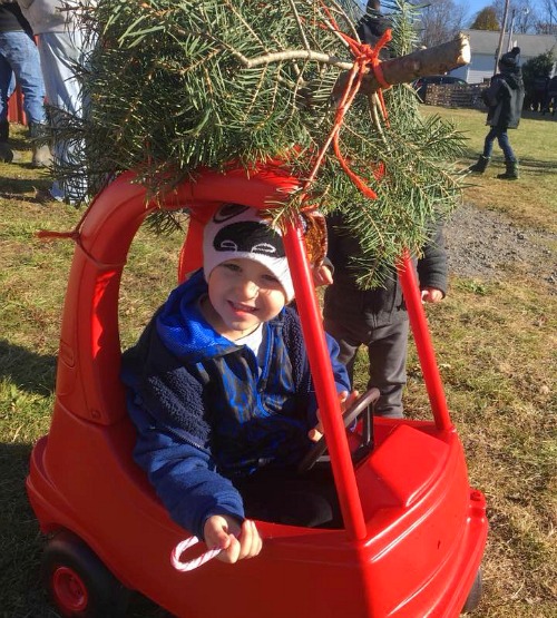 Boy at U-Cut Tree Farm Near Kalamazoo