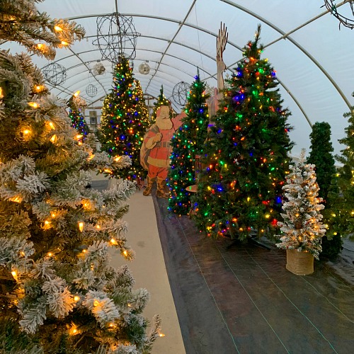 Light Up Your Holiday Season With Dazzling Lights Christmas Card Displays Near Kalamazoo Kzookids