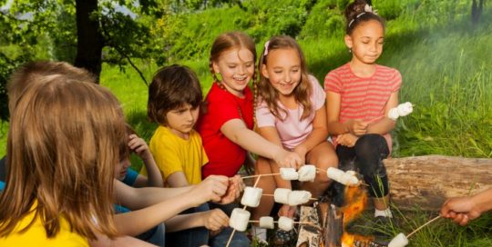 Kids at camp - campfire