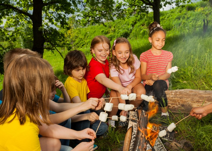 Kalamazoo Summer Camps Guide Kzookids