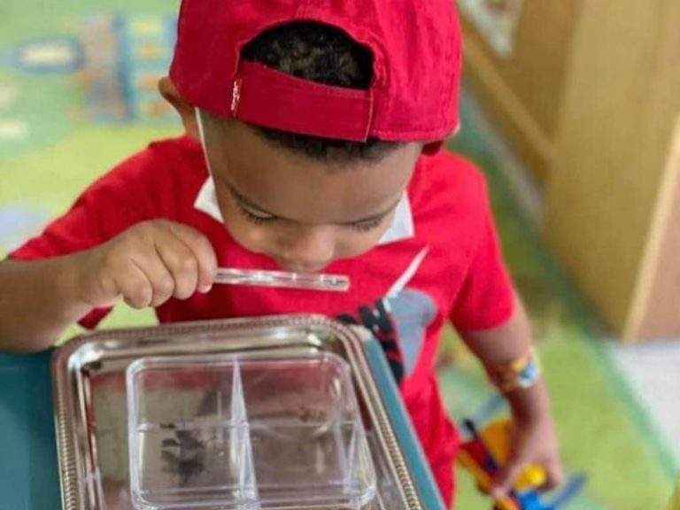 Kalamazoo Country Day School's Weekly Themed Summer Camp will Engage