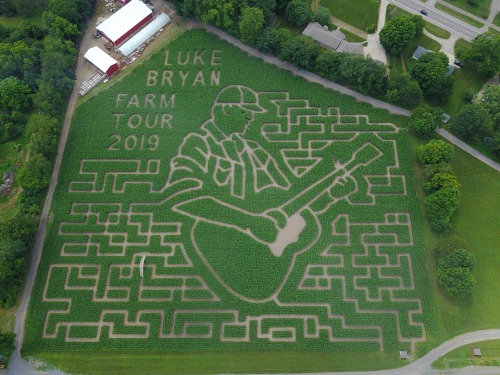 Corn Maze and Hay rides - Kalamazoo