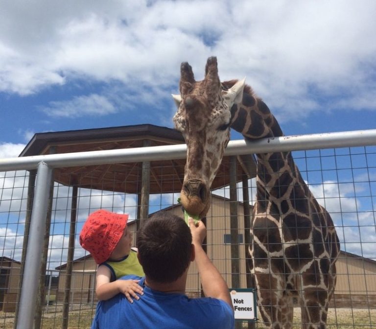 outdoor petting zoo near me for kids