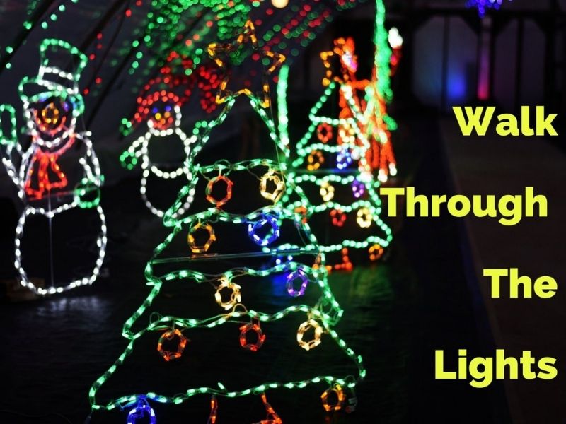 Gull Meadow Farms walk through the lights