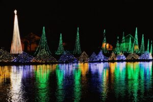 Three Rivers Christmas Lights