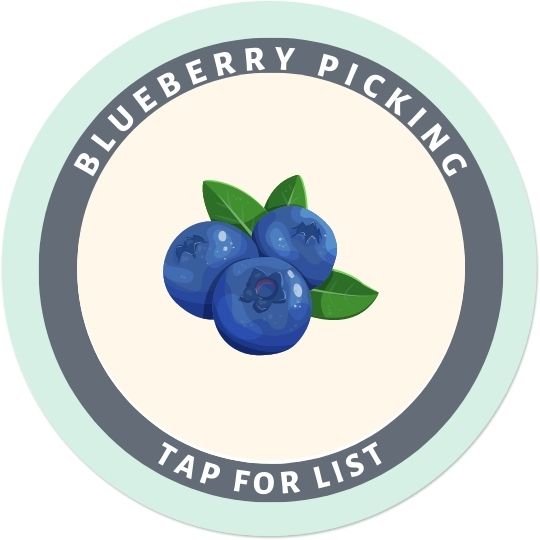 Blueberry Picking Button