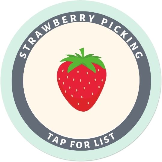 Strawberry Picking Button