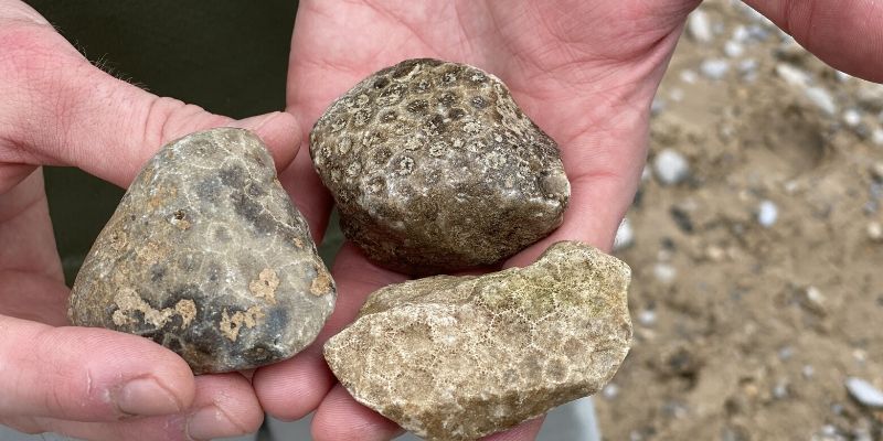 antrim-creek-natural-area-find-petoskey-stones-lake-michigan