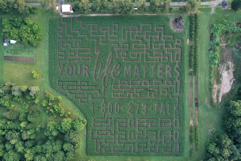 Corn Maze 2021