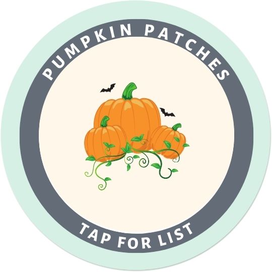 Pumpkin Patches Button