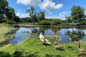 Kellogg Bird Sanctuary Zoos Farms