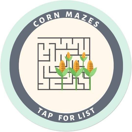 Corn Mazes Button