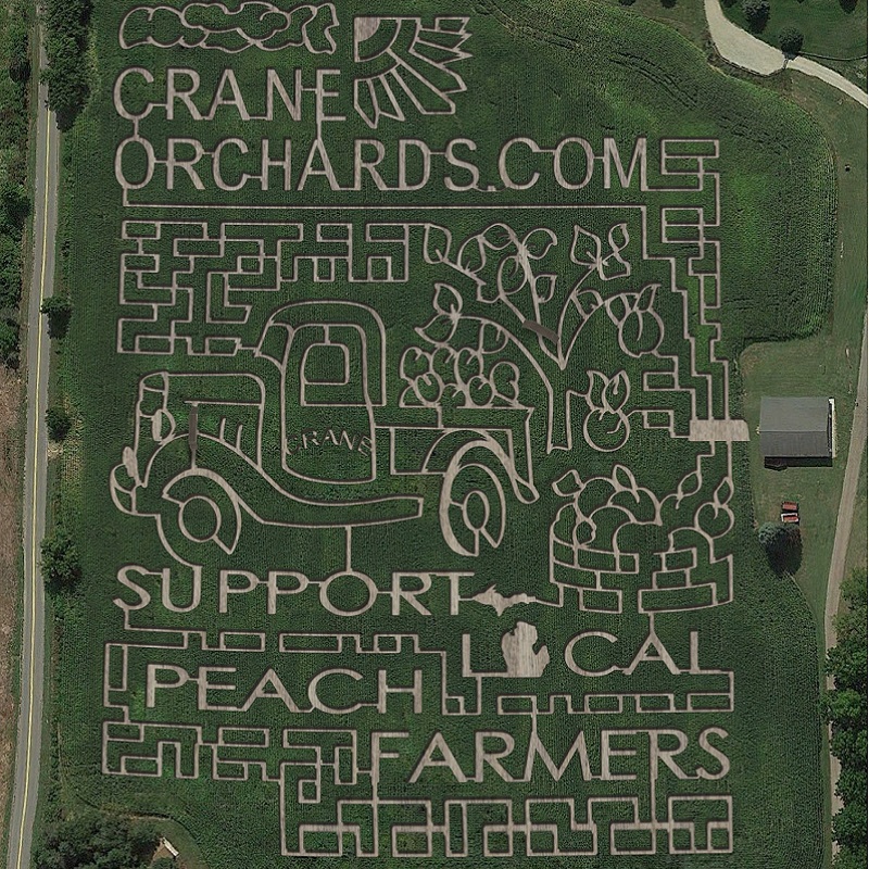 Crane Orchards 2022 maze