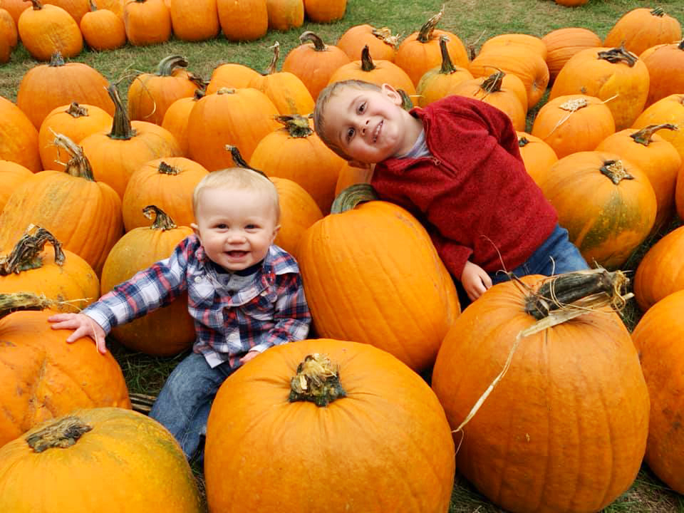 SW Michigan Pumpkin Patches Guide: 15+ Spots for Carve-Worthy Pumpkins ...