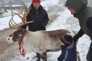 Reindeer Ranch Visit