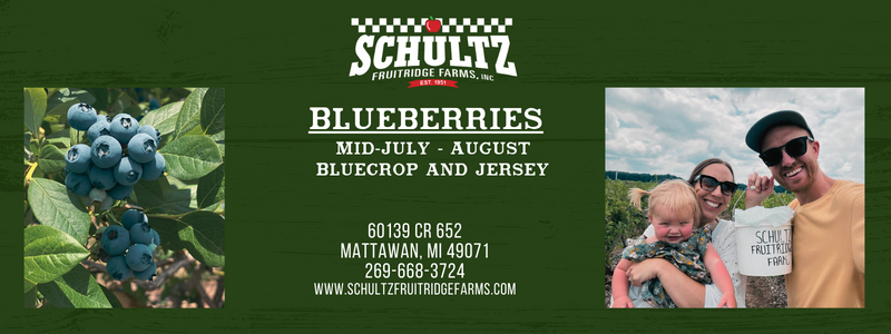 Schultz Blueberry Picking Guide 2023