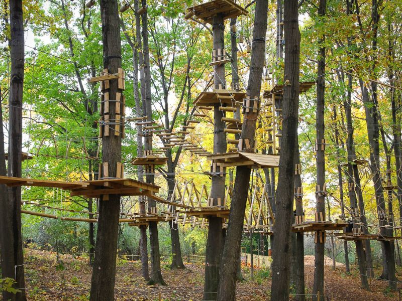 frankenmuth aerial park fall