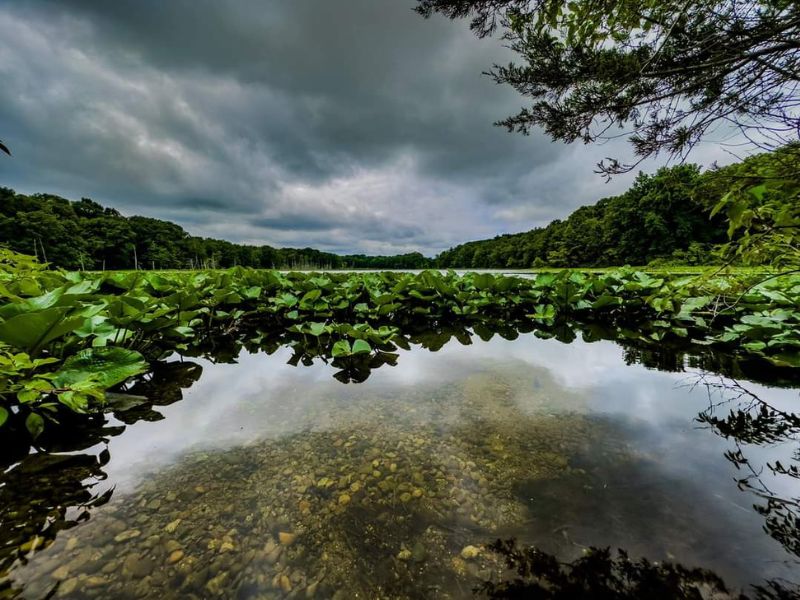 portman nature preserve wetlands