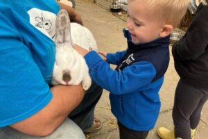 Wedel's Petting Zoo Bunny