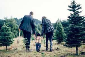 Christmas tree farm u-cut Christmas tree Kalamazoo