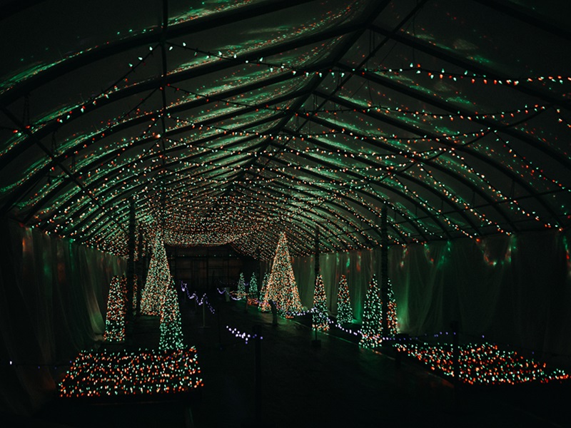 Gull Meadow Farms Walk Through the Lights