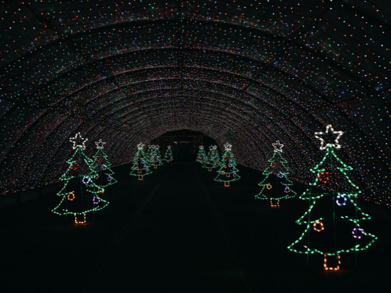 Walk Through the Lights Gull Meadow Farms Christmas