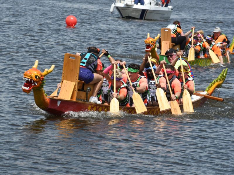 dragon boat races south haven harborfest