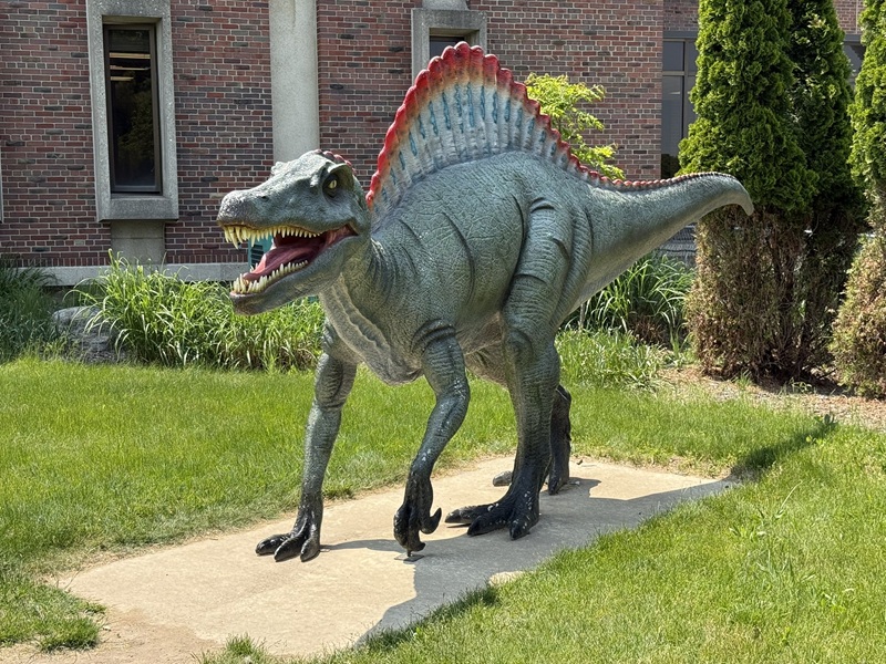 Dinosaur Park Spinosaurus
