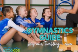Kalamazoo gymnastics classes, gymnastics for kids