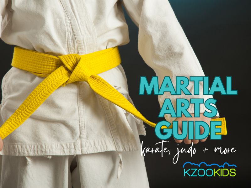 martial arts for kids, karate for kids, kids judo lessons