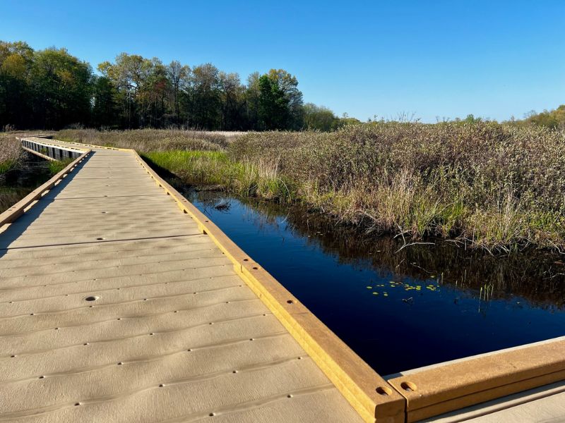 Bishop's Bog Preserve