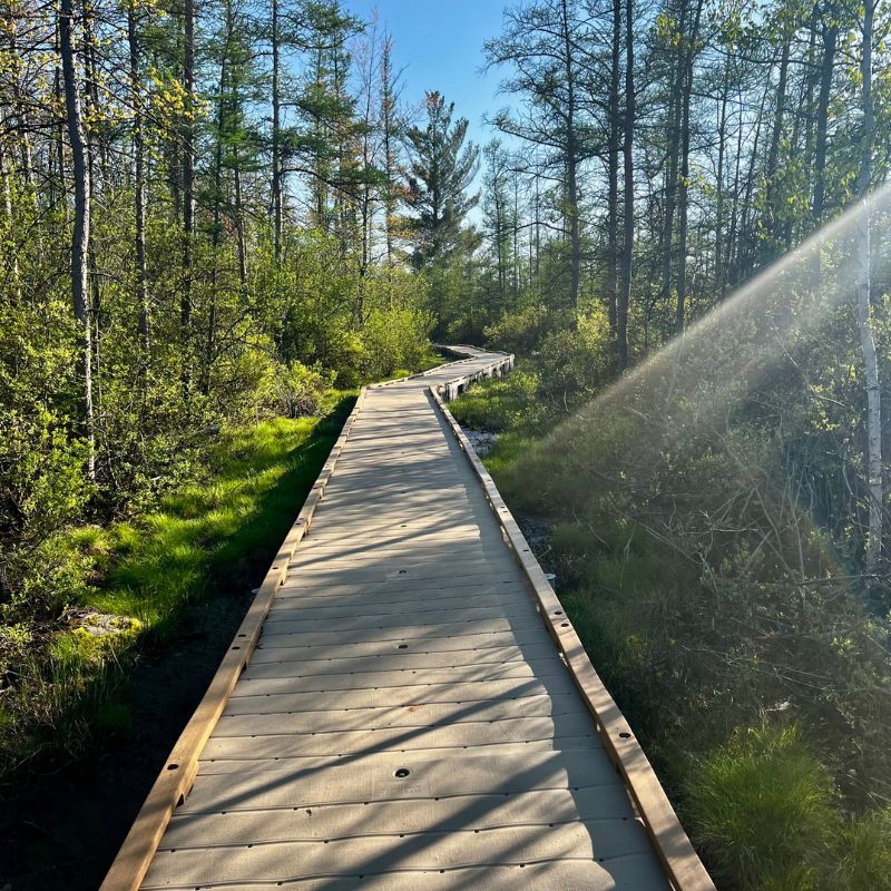 Eliason Nature Reserve/Bishop's Bog