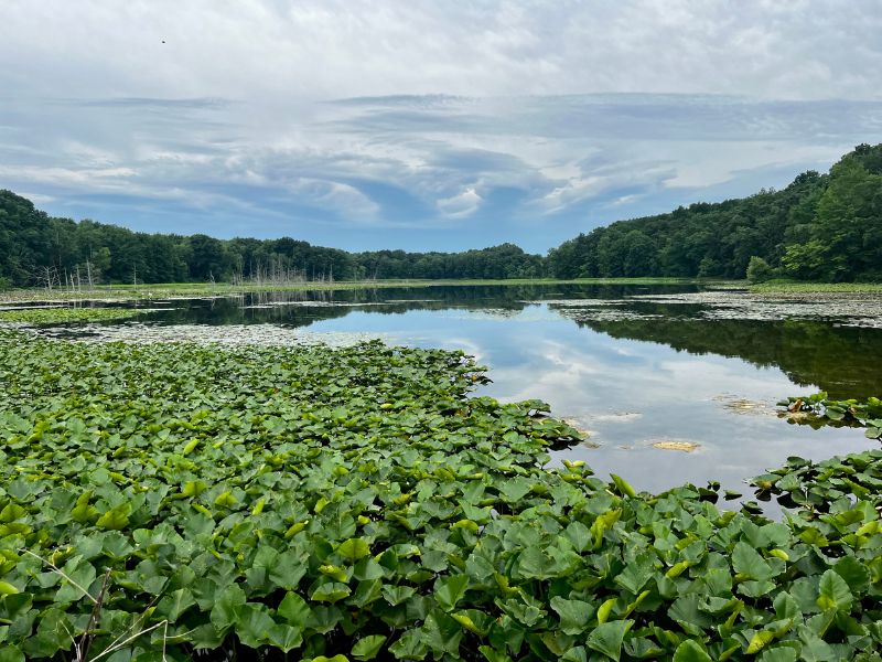 Portman Nature Preserve