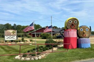 Gull Meadow Farms 2025