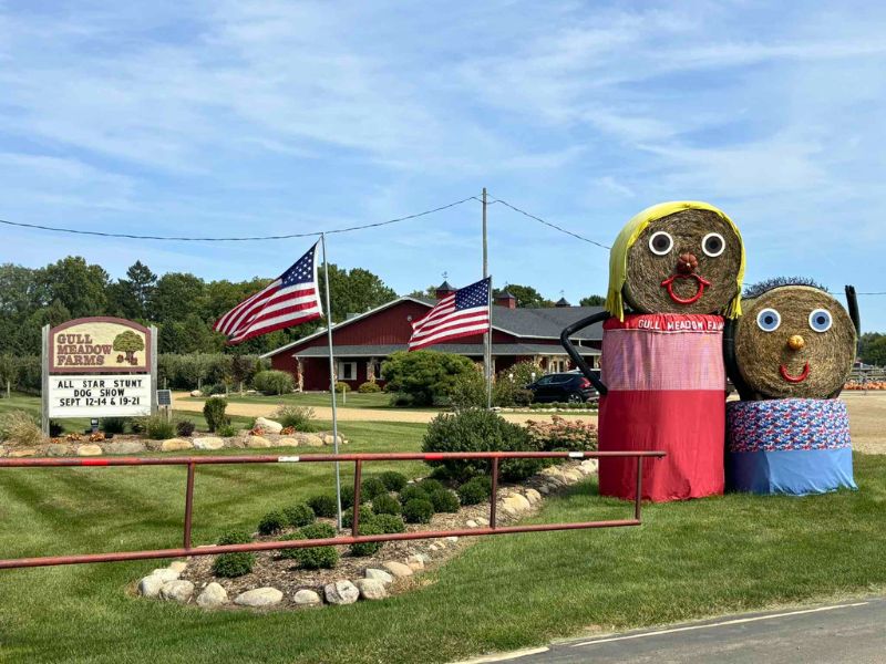 Gull Meadow Farms 2025