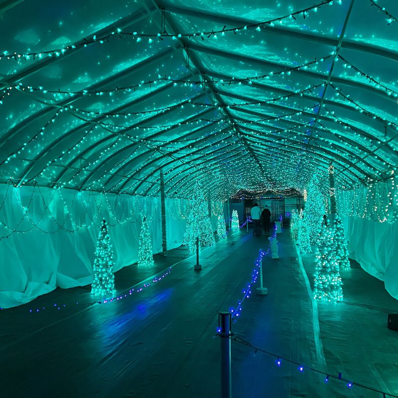 Gull Meadow Farms Walk Through Lights