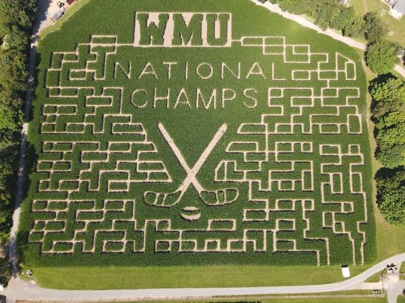 Gull Meadow Farms corn maze 2025
