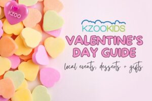 Valentine's Day events, Kalamazoo Valentine's Day, Valentine's Day gifts
