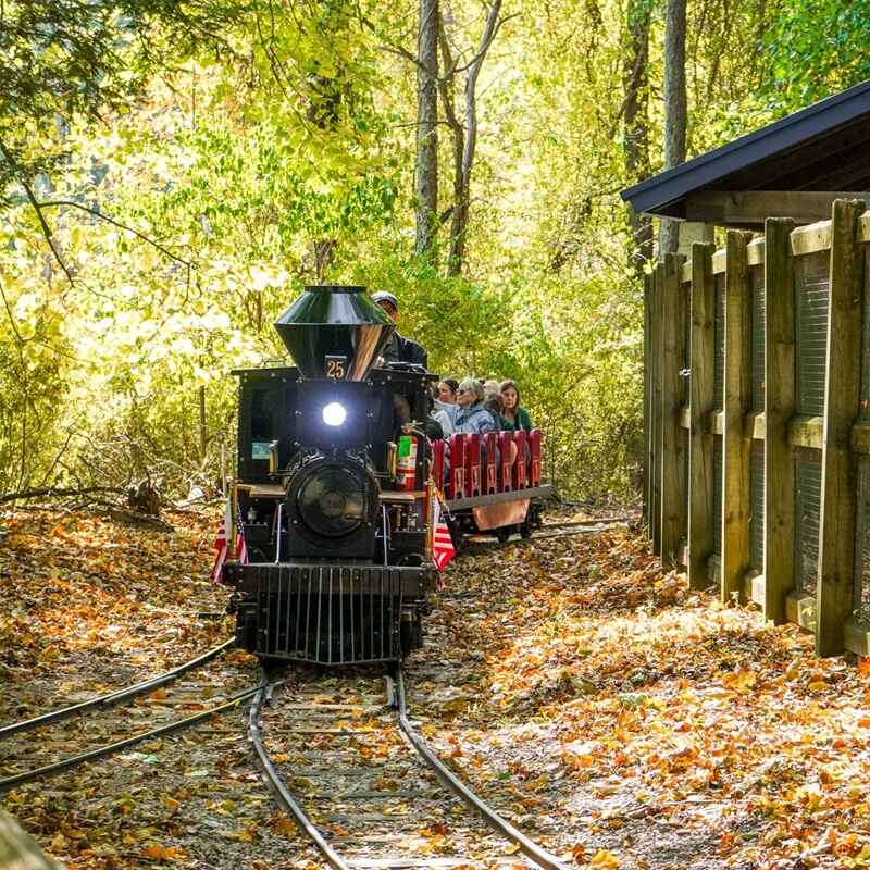 Binder Park Zoo railroad
