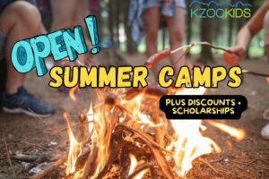 Kalamazoo Summer Camps with open spots