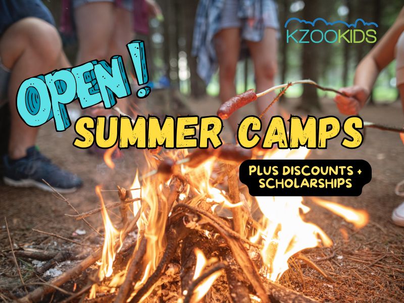 Kalamazoo Summer Camps with open spots