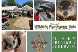 Wildlife Rescue Fundraiser Sale Three Rivers MI
