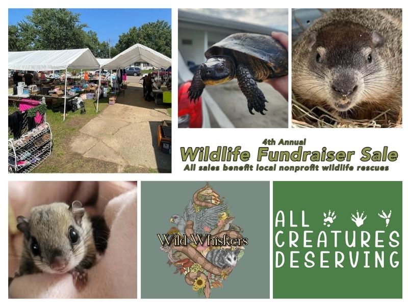Wildlife Rescue Fundraiser Sale Three Rivers MI