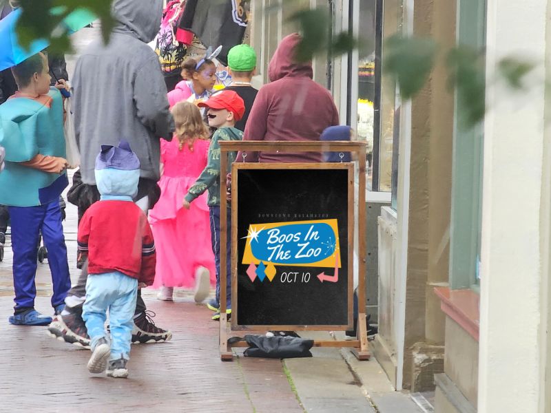 Boos In The Zoo Downtown Kalamazoo Collective