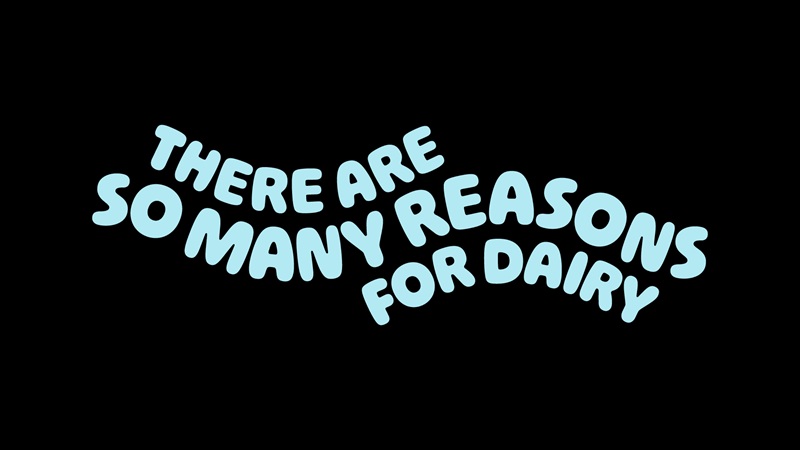 United Dairy TS